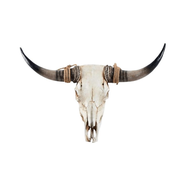 Large Cow Skull