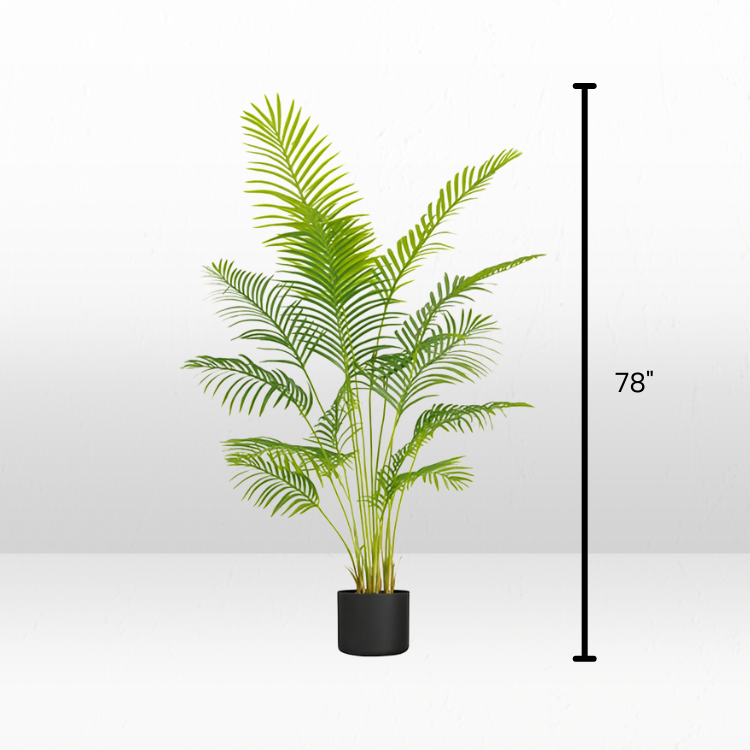 Plant - Palm view 3