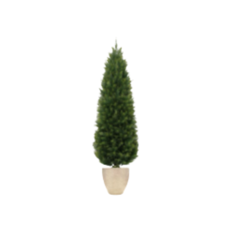 Plant - Faux Cedar Tree - 4ft