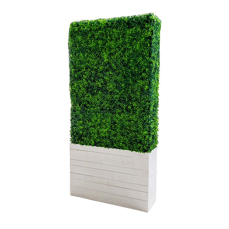 Hedge Wall - 8ft / White Base