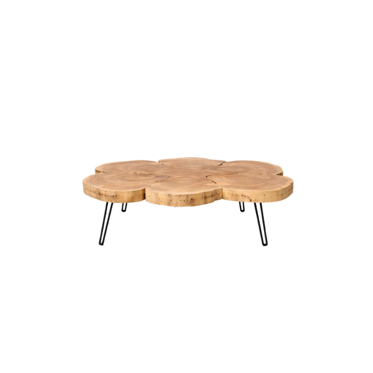 Joss Coffee Table