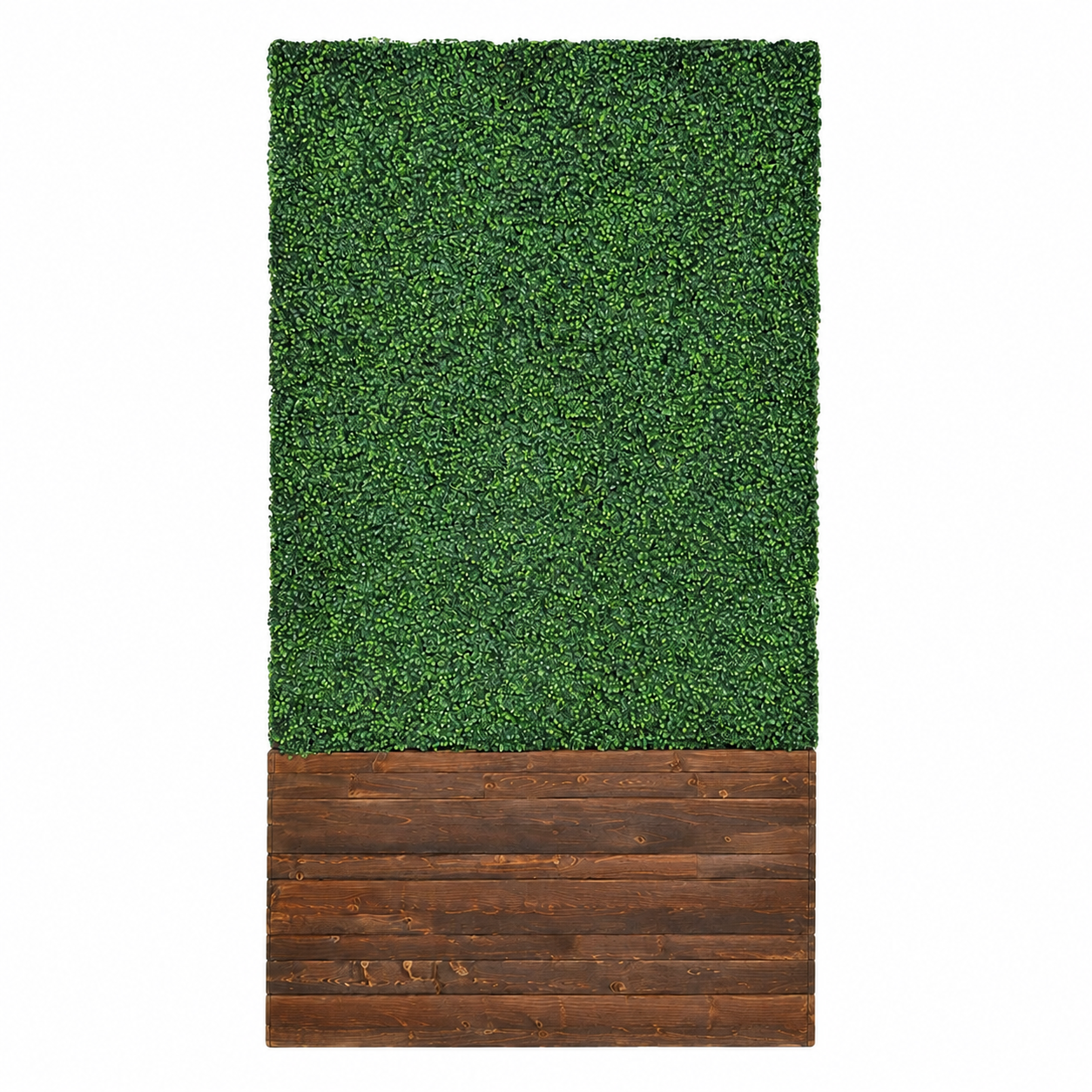 Hedge Wall - 8ft / Brown Stain Base