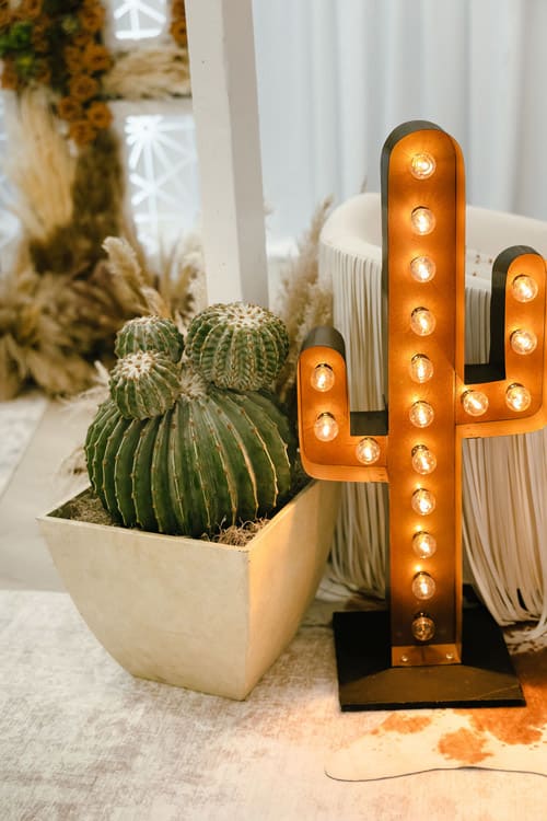 Cactus Marquee Sign - 3ft view 6