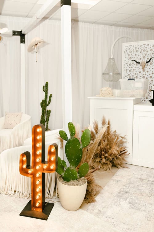 Plant - Prickly Pear view 6