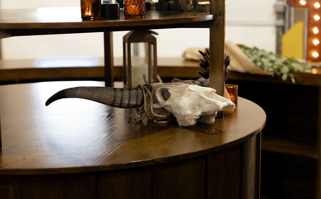 Cow Skull view 6