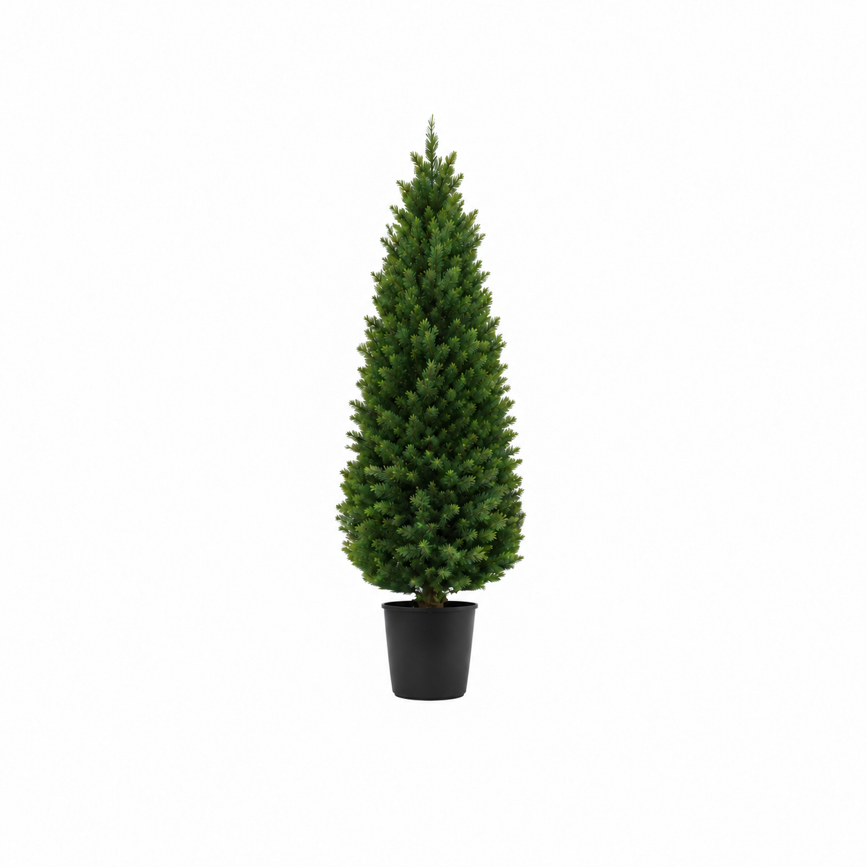 Plant - Faux Cedar Tree - 4ft view 2