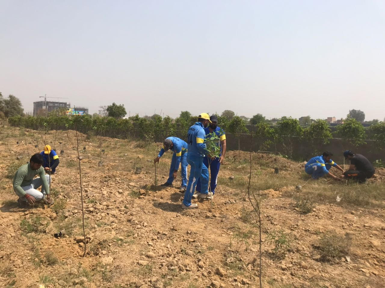 1st TREE PLANTATION NOIDA photo 1