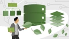 Learning MongoDB Online Class 