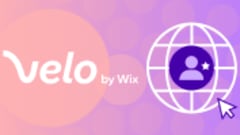 Build a Custom Membership Website with Velo by Wix