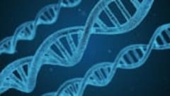 Molecular Biology: From Nucleotide To Nucleic Acid