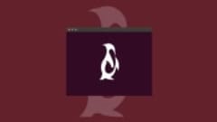 Linux Basics For Beginners Linux Basics For Beginners