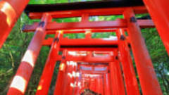 Katakana Basics Online Course | Japanese for Beginners