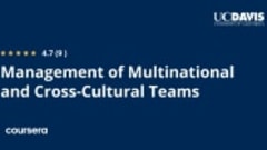 Management of Multinational and Cross-Cultural Teams