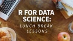 R for Data Science: Lunchbreak Lessons