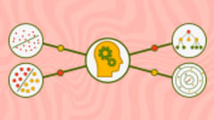 Business Machine Learning