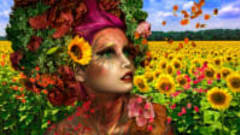 Accredited Holistic Herbalism Diploma Course Herbal Medicine