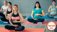 Pregnancy Yoga Teacher Training Certificate Course