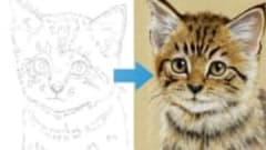 Draw a Kitten using Pastel Pencils