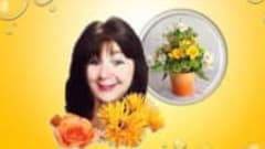 Floral Design -- Not Just Flower Arranging