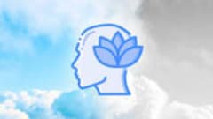 Mental Toolkit. Mastering the best practices in psychology