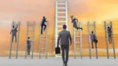 Career Counseling: The Career Guidance Course for Beginners! Career Counseling: The Career Guidance Course for Beginners!