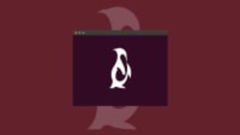 Linux Basics For Beginners