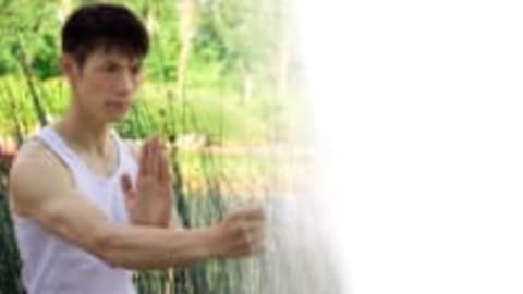 Wing Chun for Beginners I - Learn Martial Arts Kung Fu
