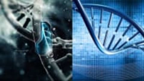 Practical Bioinformatics: Play with Genes On Your Screens.