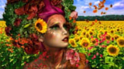 Accredited Holistic Herbalism Diploma Course Herbal Medicine