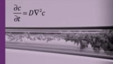 Analysis of Transport Phenomena: Convection