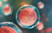 The Science of Stem Cells 