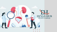 NCLEX Renal Systems: System Review, Disorders & Medications