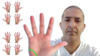Diploma in Practical Palmistry : Extensive 11+ hour course