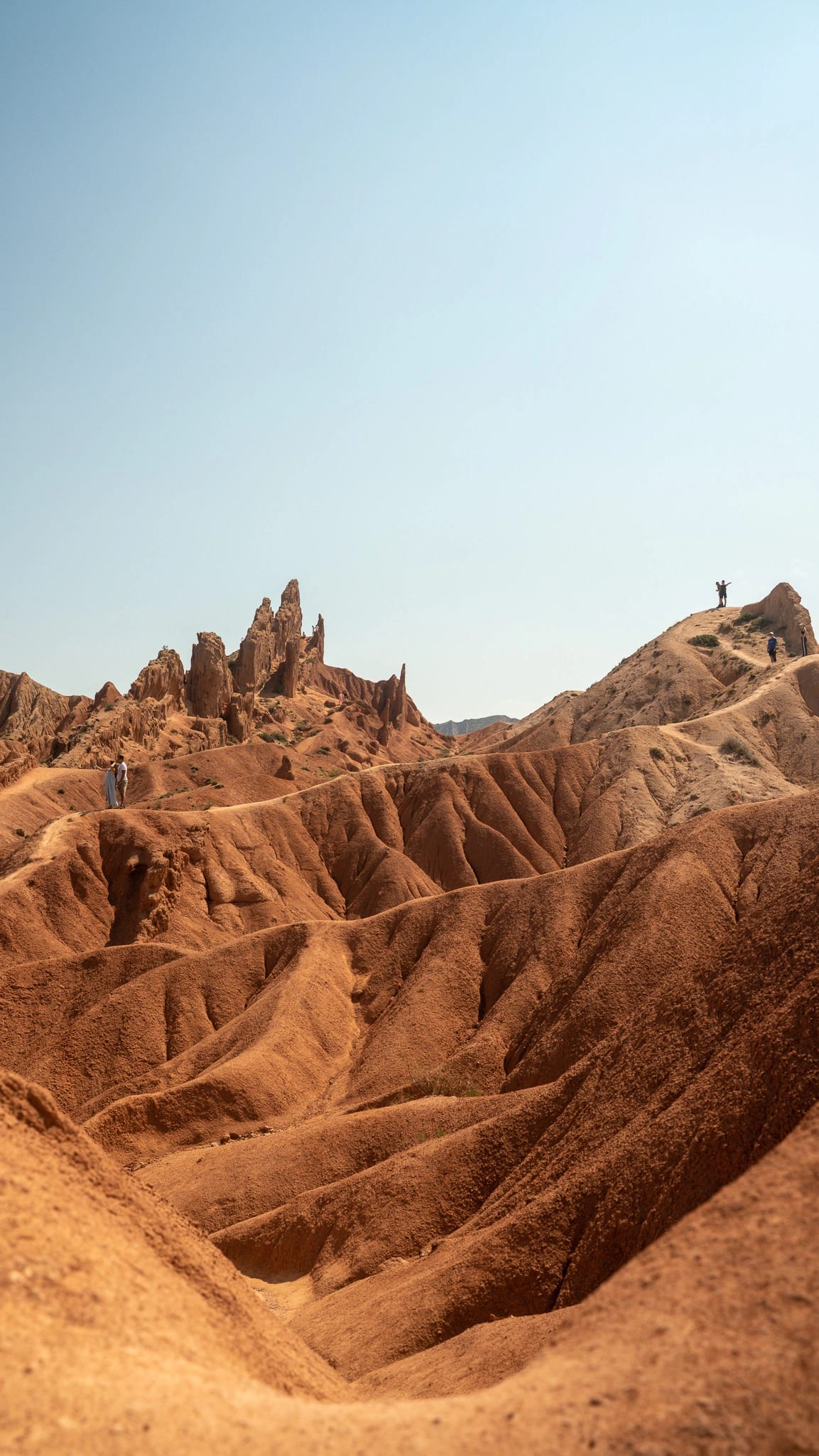 Preparing the eagle for demonstration