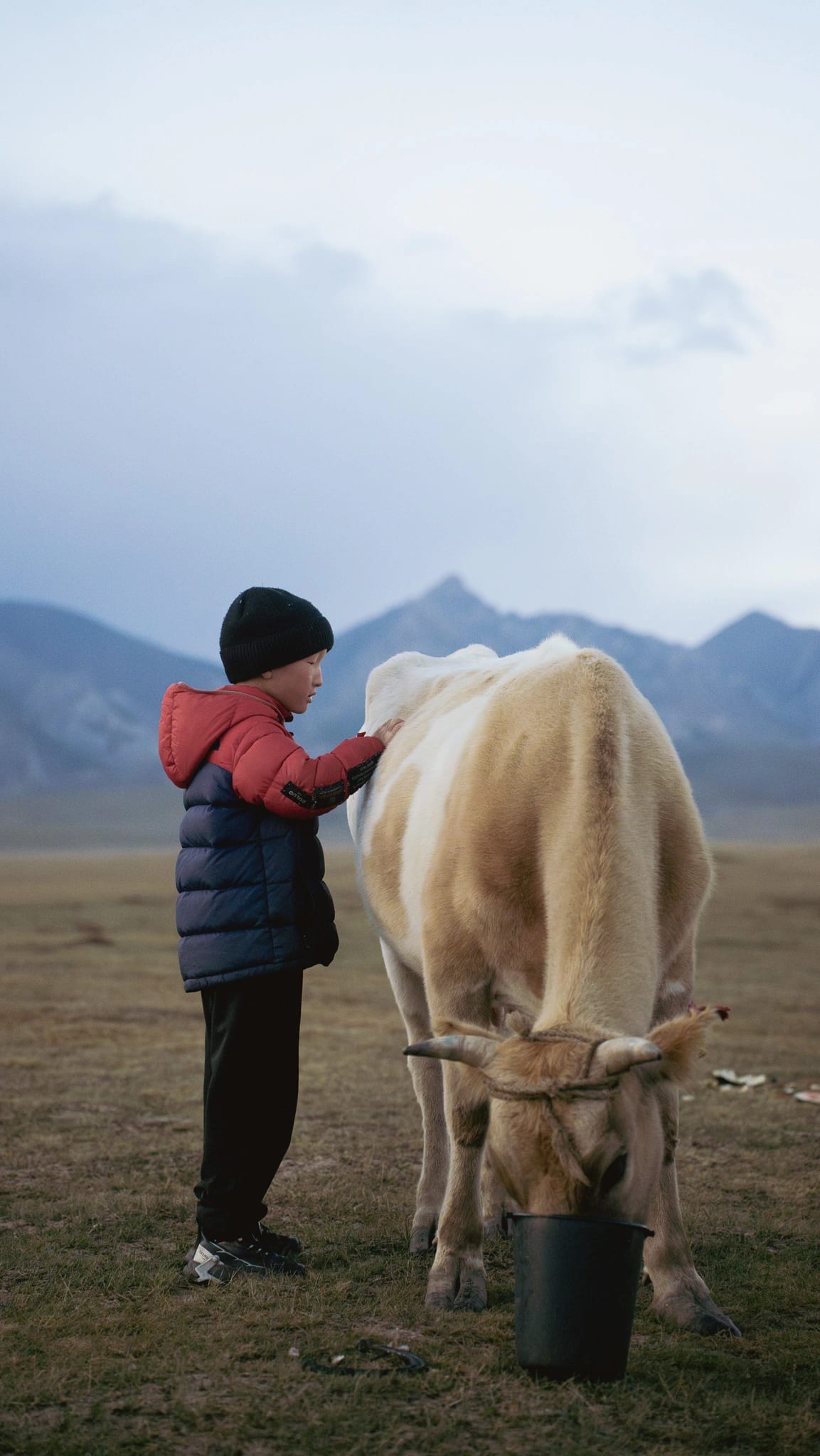 Vast alpine meadows at Song-Kol