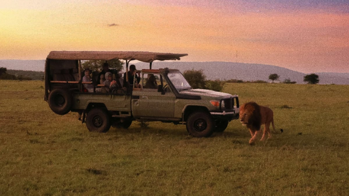 Kenya Safari Cost: How Much Does a Safari in Kenya Really Cost?