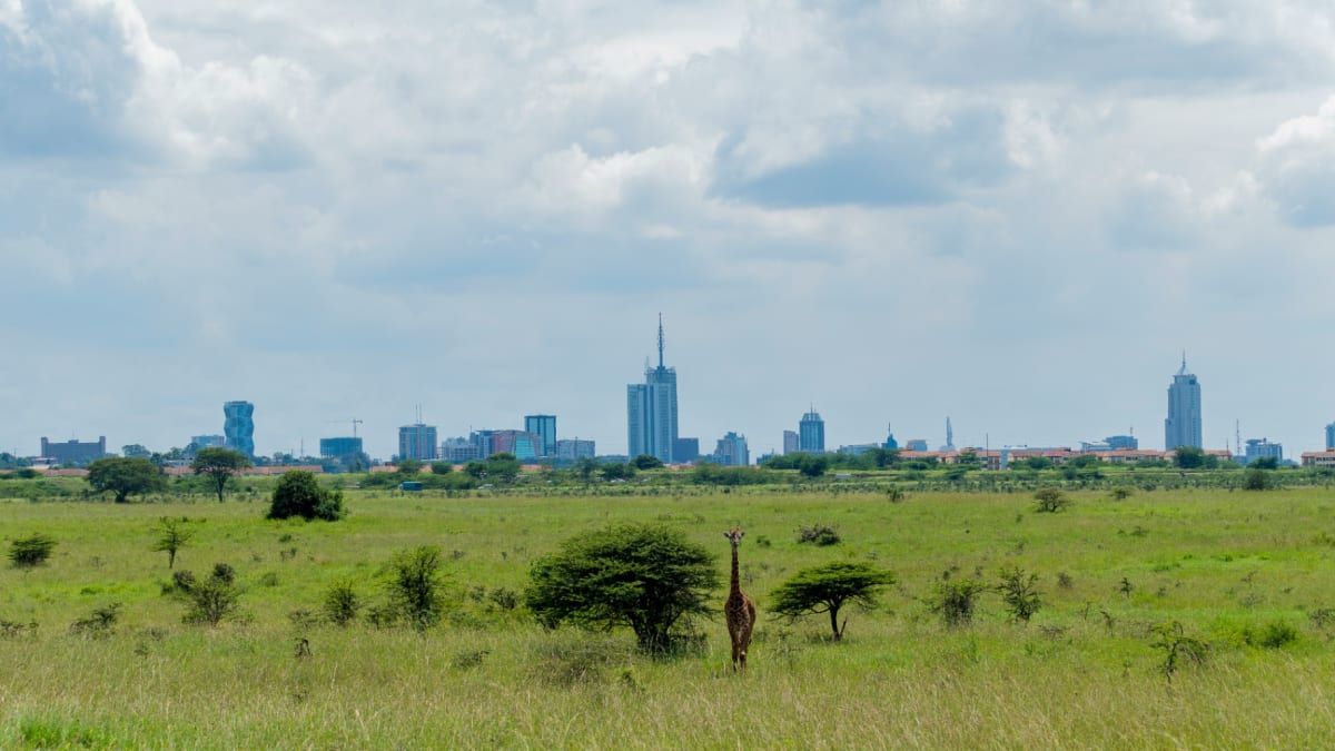 Nairobi Travel Guide: What to Do Before or After Your Kenya Safari