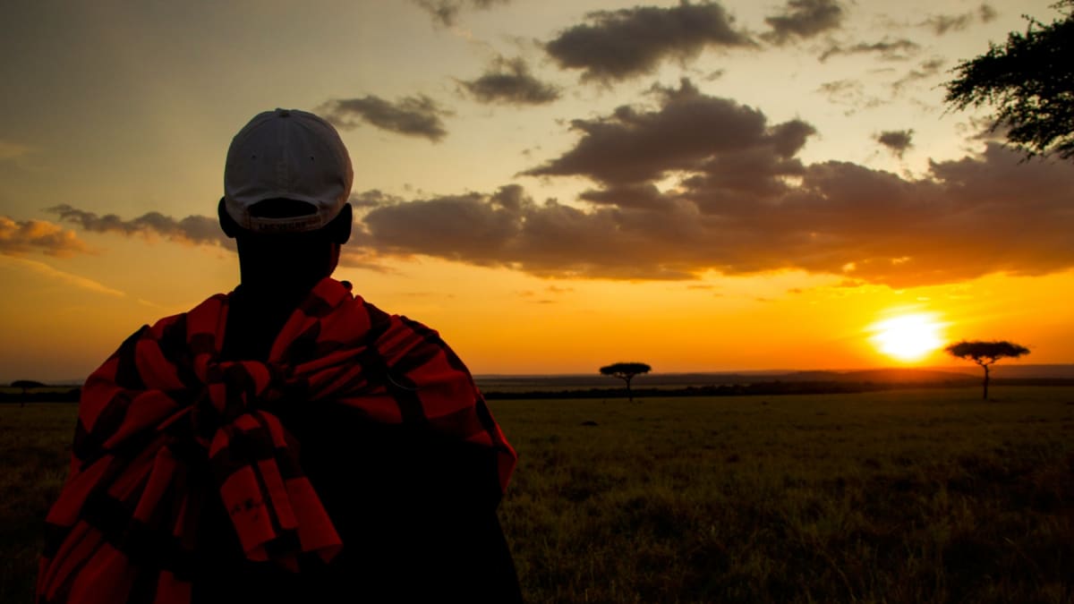 Kenya Safari Photography Guide: Best Camera Gear, Seats, Settings and Wildlife Tips