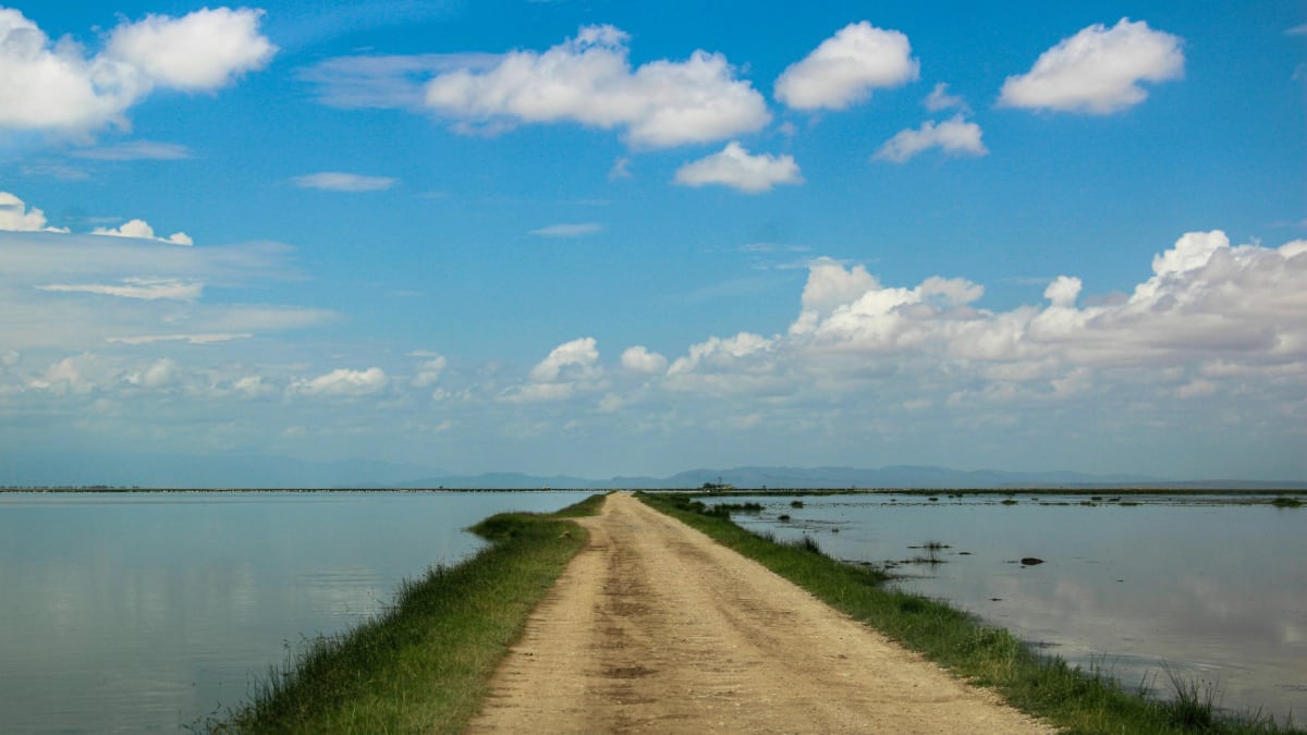 Why Kenya Safari Roads Matter: How Terrain, Rain and Wildlife Change Your Game Drive