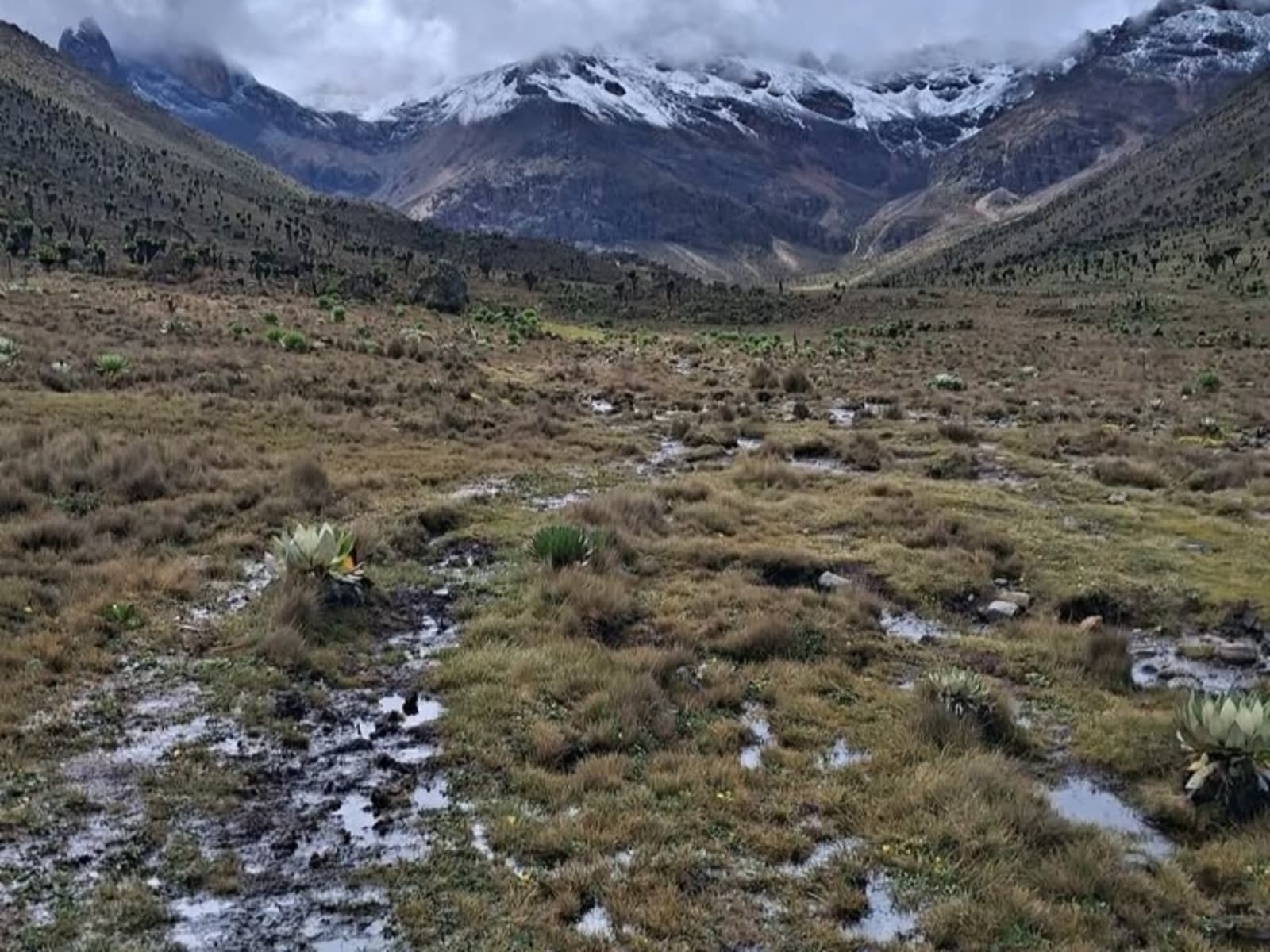 Mount Kenya Guided Hike 1