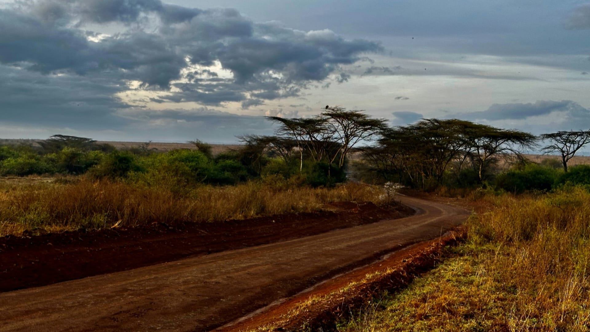 Lake Naivasha & Hell's Gate National Park Excursion