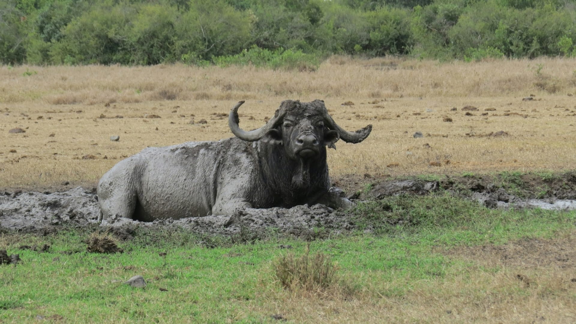 Ol Pejeta Conservancy