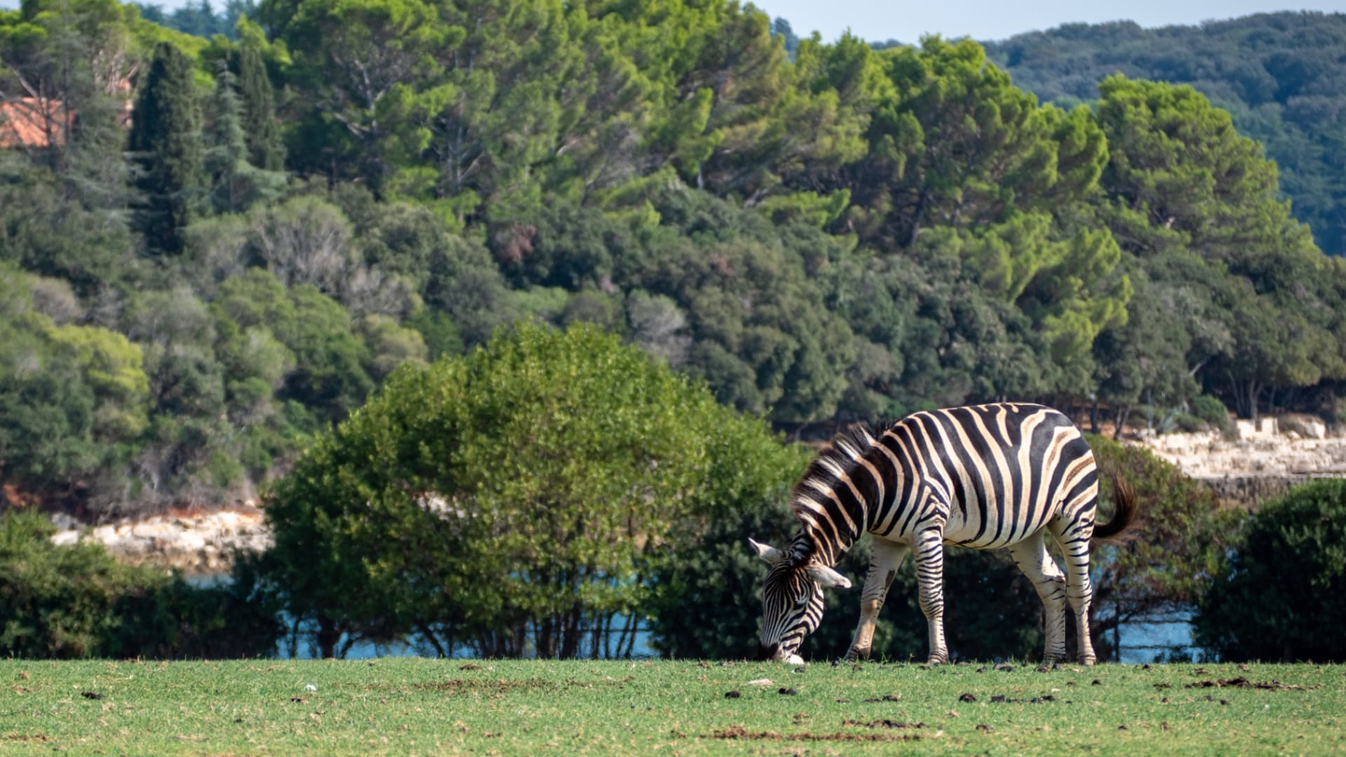 Meru National Park