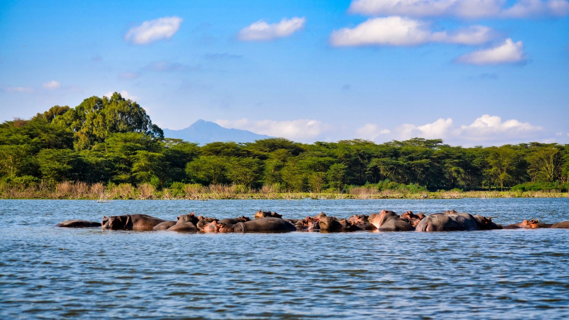 Lake Baringo