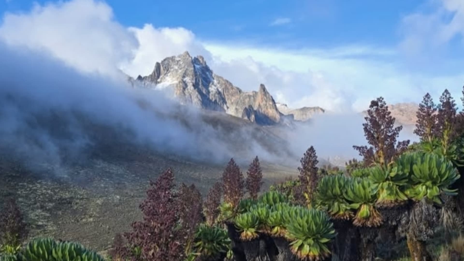Mount Kenya Guided Hike