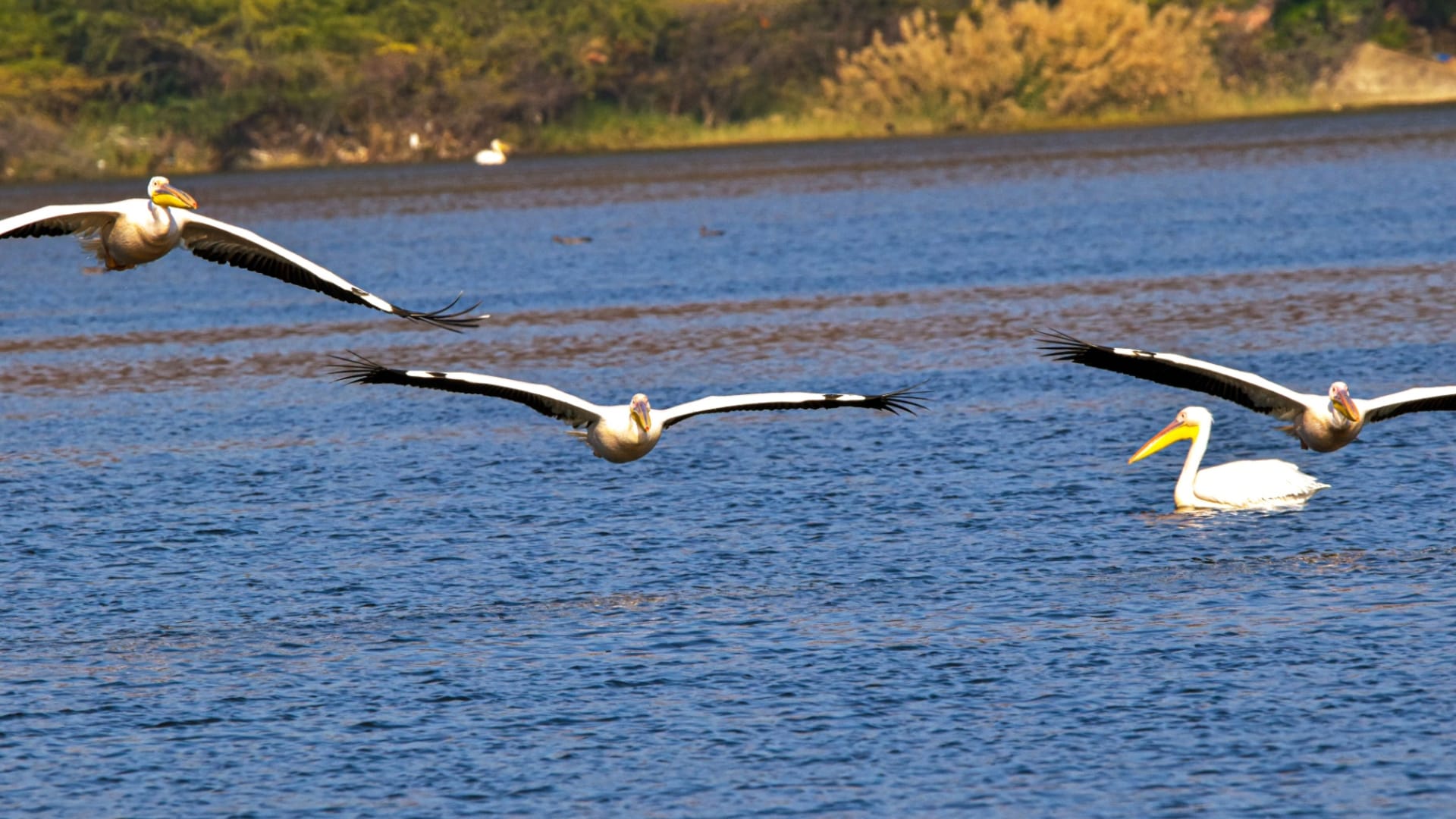 3-Day Lake Baringo & Lake Bogoria Rift Valley Escape
