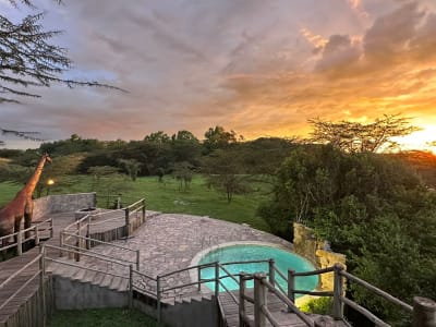 Best Time to Go on Safari in Kenya: A Month-by-Month Guide