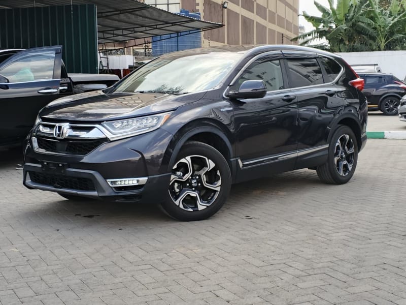 Car Rentals