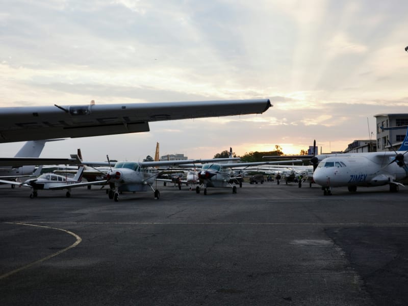 Domestic & International Flights