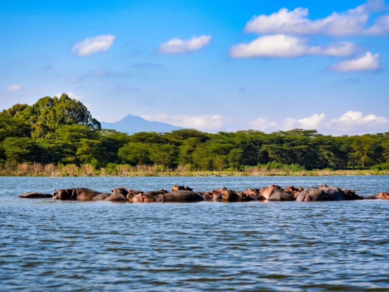 Lake Baringo
